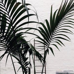 Meet your Posher, Lex